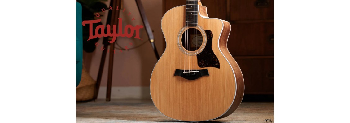 Taylor Acoustic Guitars: Four Models You Need to Play